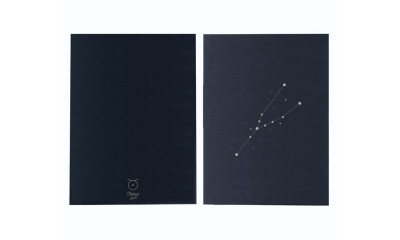 Taurus Sign